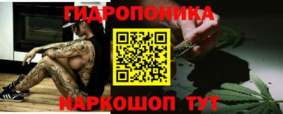 индика Мариинск
