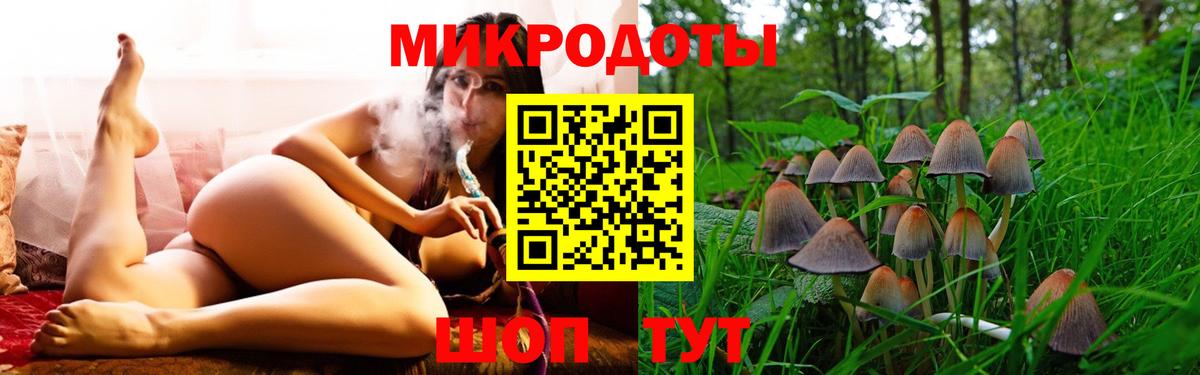 Галлюциногенные грибы мухоморы Усть-Илимск